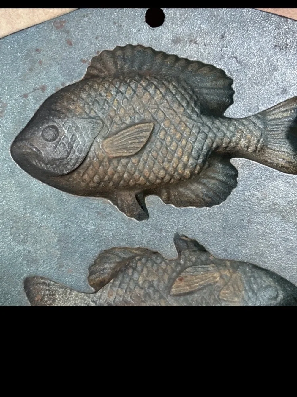 Lodge Cast Iron Perch Pan 5 Fish Mold Cornbread Bakeware 5PP2 Vintage Style